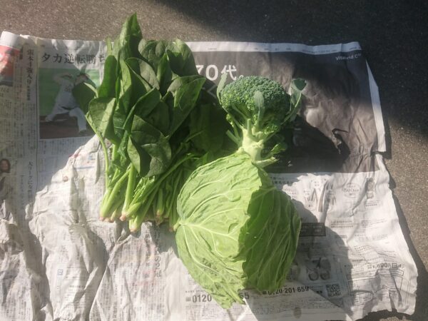 00000043_eye_catch | 「食べられる家」徳島の自然素材・天然素材の戸建、健康な注文住宅なら阿南市の四国建設へ|無添加住宅正規代理店 採れたての野菜を頂きました